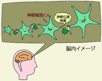 脳内イメージ