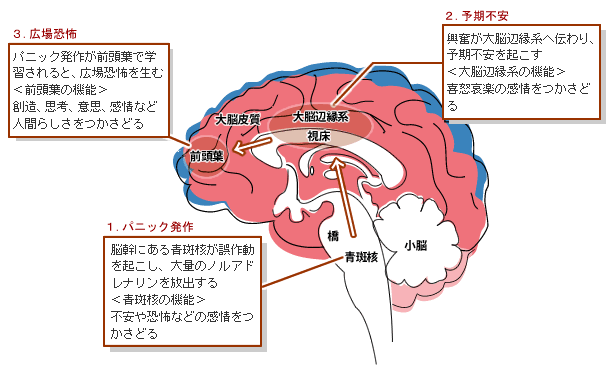 目黒 品川 診療内科 精神科 社会不安障害 パニック障害 うつ 不眠症はめぐろ駅東口メンタルクリニックへ 03-6277-2188